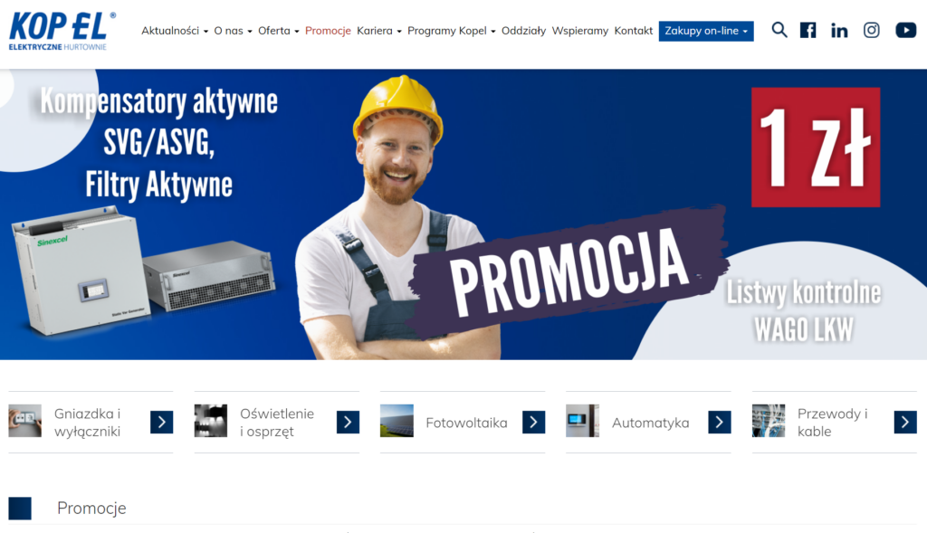 Listwa kontrolna WAGO za 1 zł!